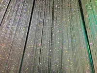 【閉業】森ビルデジタルアートミュージアム：エプソン チームラボボーダレス（MORI Building Digital Art Museum: EPSON teamLab Borderless）の写真・動画_image_205081