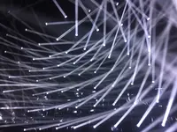 【閉業】森ビルデジタルアートミュージアム：エプソン チームラボボーダレス（MORI Building Digital Art Museum: EPSON teamLab Borderless）の写真・動画_image_205083