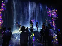 【閉業】森ビルデジタルアートミュージアム：エプソン チームラボボーダレス（MORI Building Digital Art Museum: EPSON teamLab Borderless）の写真・動画_image_205084