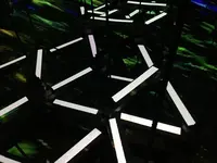 【閉業】森ビルデジタルアートミュージアム：エプソン チームラボボーダレス（MORI Building Digital Art Museum: EPSON teamLab Borderless）の写真・動画_image_205091