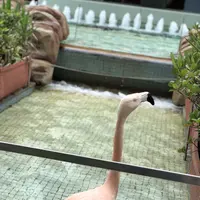 アドベンチャーワールドの写真・動画_image_205108