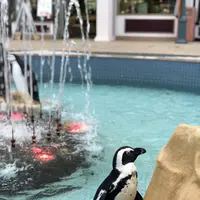 アドベンチャーワールドの写真・動画_image_205109