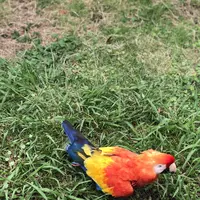 アドベンチャーワールドの写真・動画_image_205112