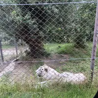 アドベンチャーワールドの写真・動画_image_205113