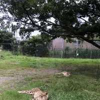 アドベンチャーワールドの写真・動画_image_205114