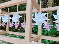 川越氷川神社の写真・動画_image_205117