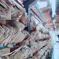 川越氷川神社の写真・動画_image_205118