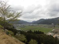 かんざき桜の山桜華園の写真・動画_image_205146