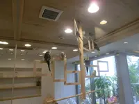 ことりカフェ 心斎橋の写真・動画_image_205190