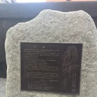 柳橋の写真・動画_image_205250