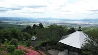 善峯寺の写真・動画_image_205252