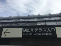 隅田川テラスの写真・動画_image_205255
