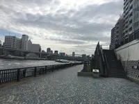隅田川テラスの写真・動画_image_205256