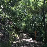 金華山の写真・動画_image_205383