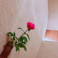 草津片岡鶴太郎美術館の写真・動画_image_205425