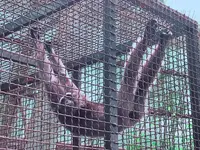 草津熱帯圏の写真・動画_image_205430