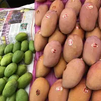 新世紀水果店の写真・動画_image_205708