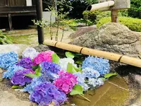 阿弥陀寺の写真・動画_image_205887