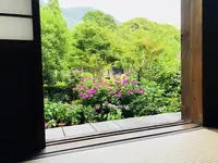 阿弥陀寺の写真・動画_image_205888