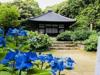 阿弥陀寺の写真・動画_image_205890