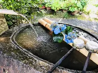 阿弥陀寺の写真・動画_image_205891