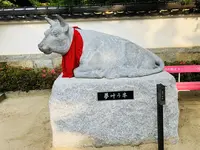 防府天満宮の写真・動画_image_205897