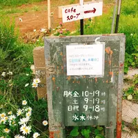 Cafe スロープの写真・動画_image_205913