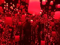【閉業】森ビルデジタルアートミュージアム：エプソン チームラボボーダレス（MORI Building Digital Art Museum: EPSON teamLab Borderless）の写真・動画_image_205985