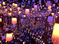 【閉業】森ビルデジタルアートミュージアム：エプソン チームラボボーダレス（MORI Building Digital Art Museum: EPSON teamLab Borderless）の写真・動画_image_205988