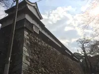福岡城跡の写真・動画_image_20607
