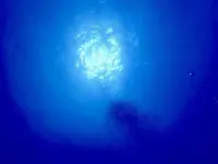 慶良間諸島周辺の写真・動画_image_206070