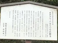 飯能市指定天然記念物の写真・動画_image_206244