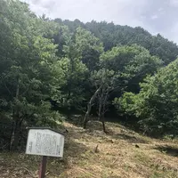 飯能市指定天然記念物の写真・動画_image_206245