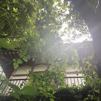 岩井観音の写真・動画_image_206249