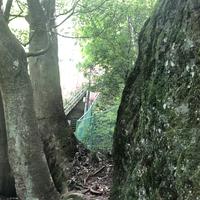 岩井観音の写真・動画_image_206252