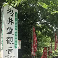 岩井観音の写真・動画_image_206255
