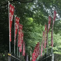 岩井観音の写真・動画_image_206262