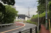 いろは坂の写真・動画_image_206384