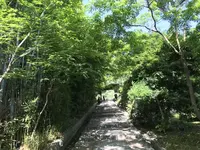 高台寺の写真・動画_image_206443