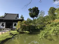 高台寺の写真・動画_image_206444