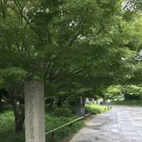 平等院の写真・動画_image_206462