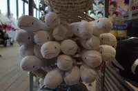 上越市立水族博物館 うみがたり（旧：上越市立水族博物館）の写真・動画_image_206505