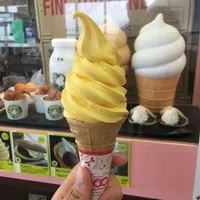 大涌谷の写真・動画_image_206683