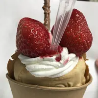 いもっこ畑麻生の写真・動画_image_206864