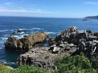 巨釜半造の写真・動画_image_206987