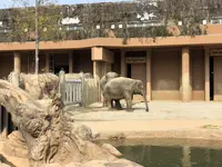 東山動物園の写真・動画_image_207005