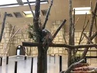 東山動物園の写真・動画_image_207007
