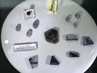 クリスタルサウンドの写真・動画_image_207074