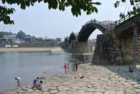 錦帯橋の写真・動画_image_207181