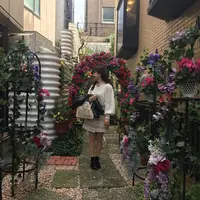 フレンチ ラブレーの写真・動画_image_207596